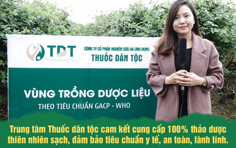 Hình ảnh một trong những Vườn dược liệu của Trung tâm Thuốc dân tộc
