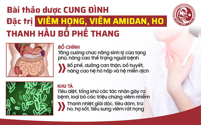 Cơ chế điều trị BỔ CHÍNH KHU TÀ của bài thuốc Thanh hầu bổ phế thang