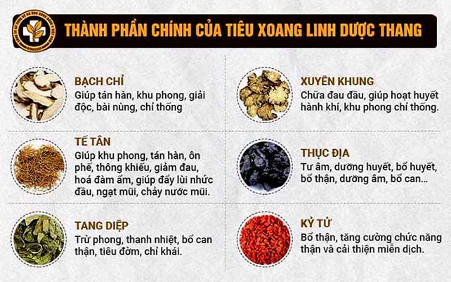 Một số thành phần cơ bản của Tiêu Xoang Linh Dược Thang Một số thành phần cơ bản của Tiêu Xoang Linh Dược Thang