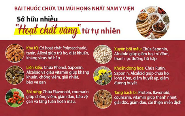 Thành phần bài thuốc Thanh Hầu Bổ Phế Thang