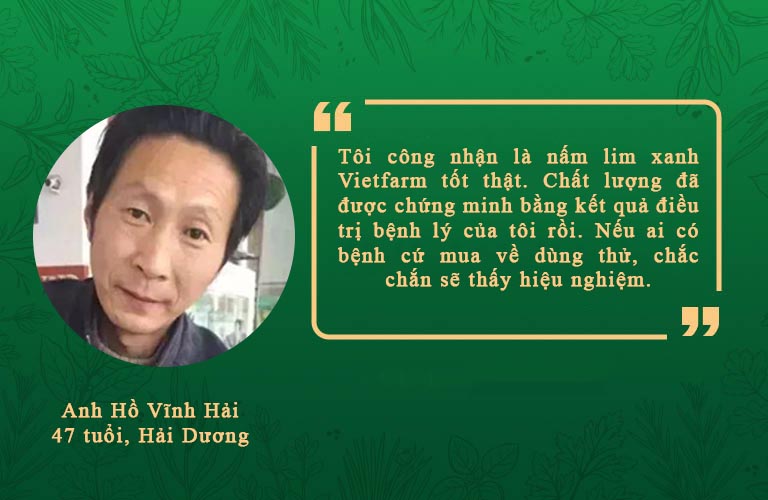 nấm lim xanh vietfarm