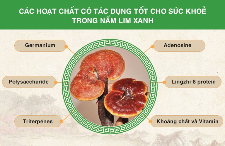 nấm lim xanh Vietfarm