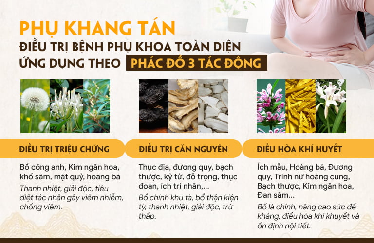 Phác đồ Phụ Khang Tán 3 tác động, điều trị bệnh từ gốc đến ngọn