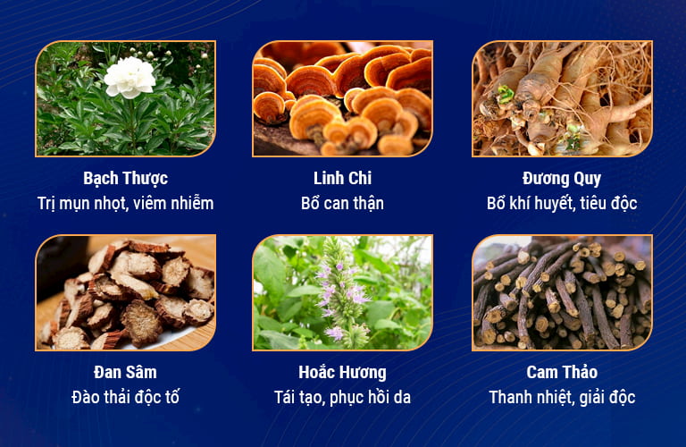 Sự kết hợp của nhiều loại thảo dược Đông y tự nhiên lành tính