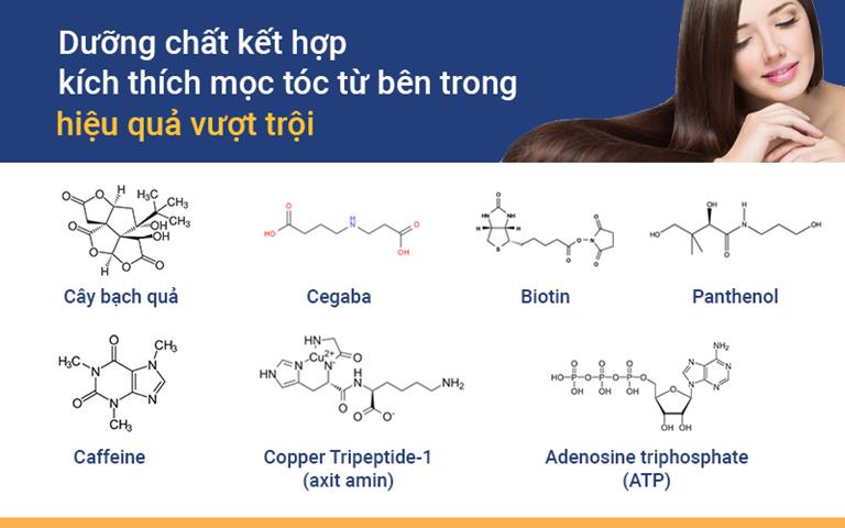 Thành phần các thảo dược trị rụng tóc
