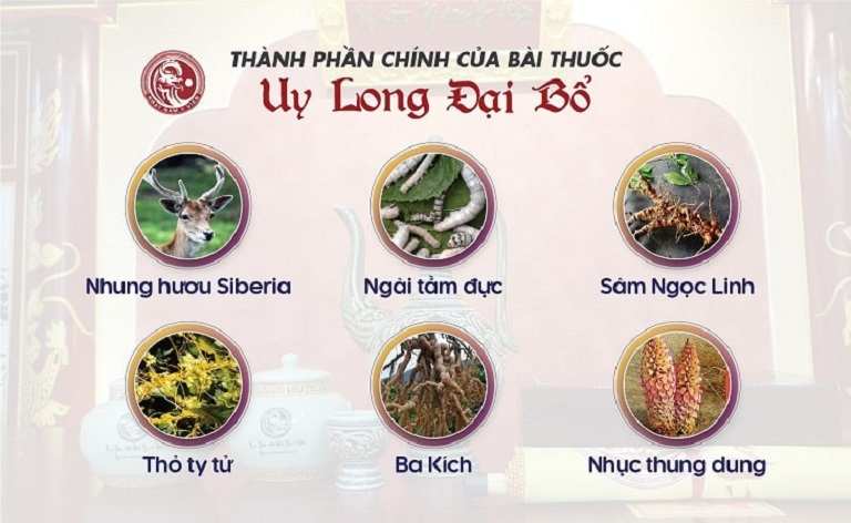 Một vài loại dược liệu quý được dùng trong bài thuốc