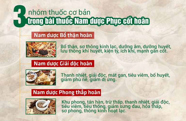 3 nhóm thuốc hòa quyện trong bài thuốc lớn Nam dược Phục cốt hoàn