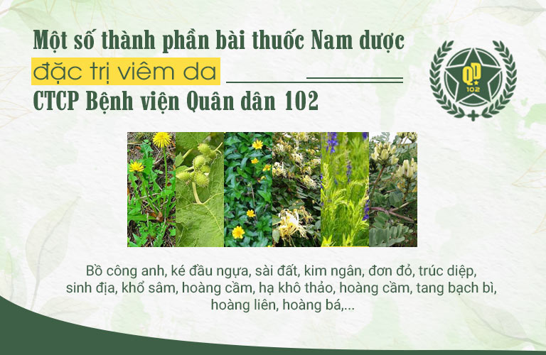 Các vị thuốc dùng chữa viêm da 