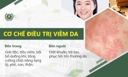 Cơ chế điều trị viêm da tại Quân dân 102