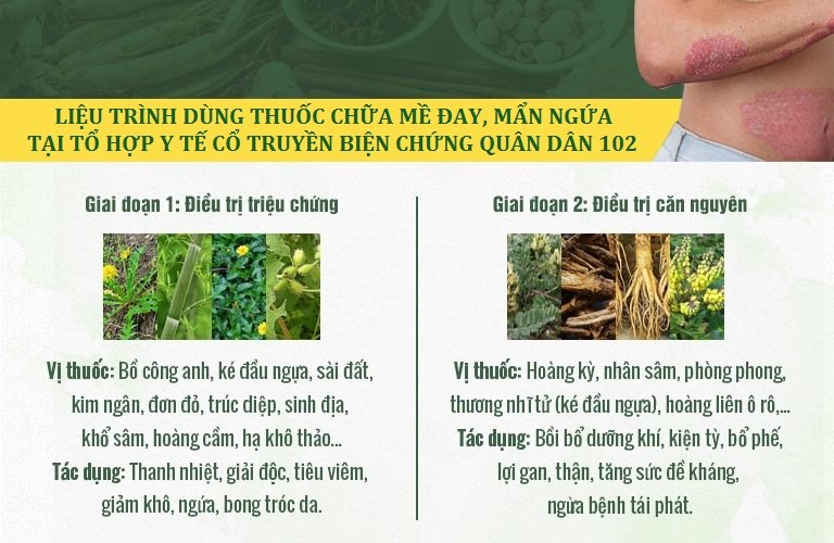 Liệu trình dùng thuốc Tiêu ban hoàn bì thang bao gồm 2 giai đoạn Liệu trình dùng thuốc Tiêu ban hoàn bì thang bao gồm 2 giai đoạn