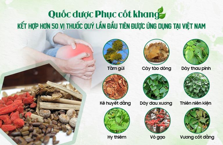 Quốc dược Phục cốt khang sở hữu bảng thành phần vàng 10 vị bổ 10