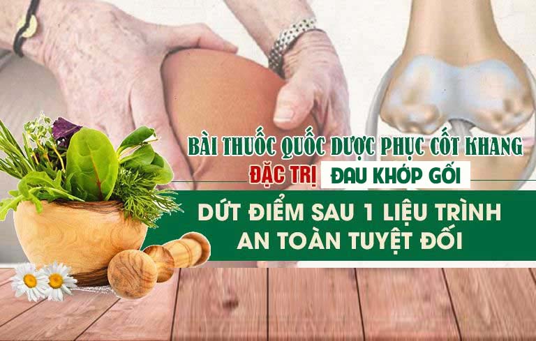 Bài thuốc chữa đau xương khớp được mệnh danh là Quốc bảo nước Nam