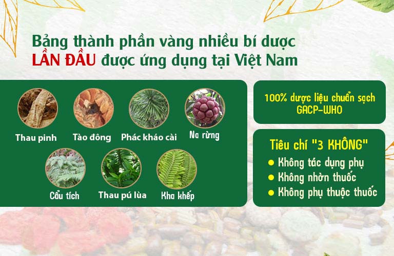  Một số thành phần thảo dược tiêu biểu trong bài thuốc