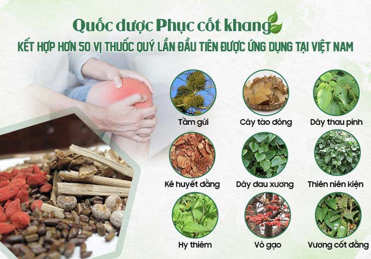 Một số thành phần thuốc tiêu biểu của bài thuốc