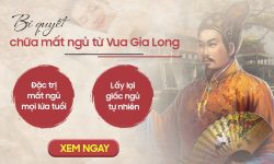 Mất Ngủ Kinh Niên - Quan Niệm Từ Đông Y Và Giải Pháp Ngủ Ngon Tới Sáng Từ Bài Thuốc Cung Đình