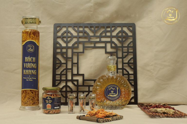 Rượu đông trùng hạ thảo Vietfarm được quý ông ưa chuộng nhất hiện nay