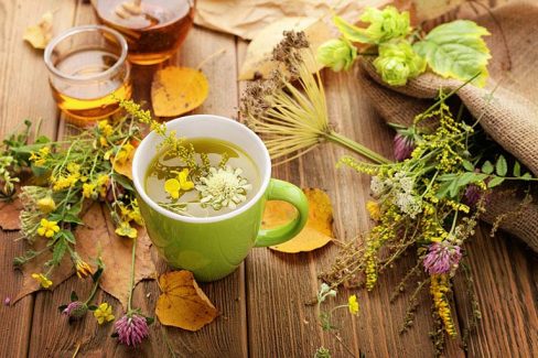 Mách bạn những cây thuốc nam trị xuất tinh sớm quanh nhà hiệu quả bất ngờ