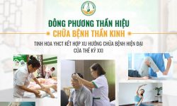 Đông phương Thần hiệu chữa bệnh thần kinh - Tinh hoa YHCT kết hợp xu hướng chữa bệnh hiện đại của Thế kỷ XXI