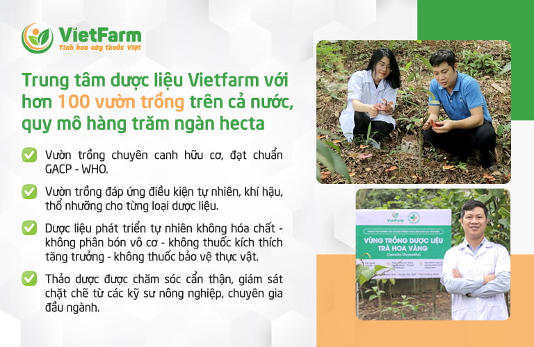 Hệ thống vườn trồng 100+ trên cả nước đảm bảo chất lượng