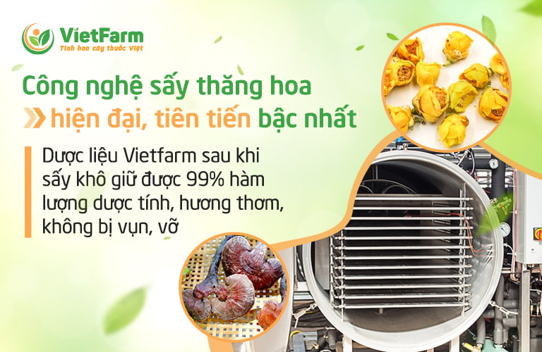 Công nghệ sấy thăng hoa dược liệu mang lại nhiều ưu điểm vượt trội