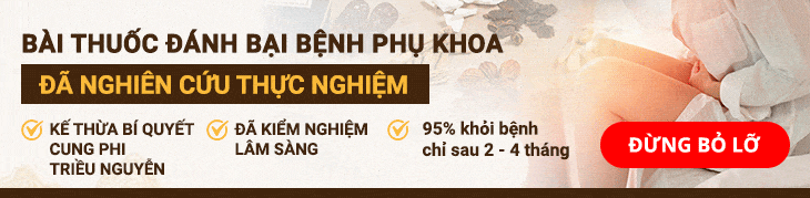 Phụ Khang Tán được nghiên cứu chuyên sâu