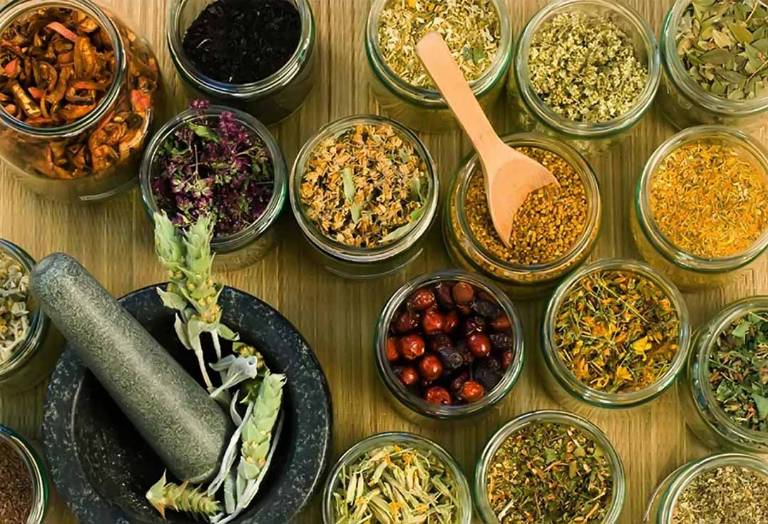 Nam giới thường không quan tâm đến các bài thuốc từ nguồn thảo dược thiên nhiên
