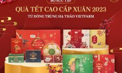 Quà Tết Đông Trùng Hạ Thảo Vietfarm - Sự Lựa Chọn Hàng Đầu Biếu Tặng Bố Mẹ, Người Thân - Trọn Chữ Tình, Vẹn Chữ Hiếu