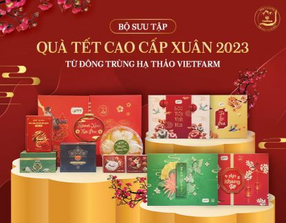 Quà Tết Đông Trùng Hạ Thảo Vietfarm - Sự Lựa Chọn Hàng Đầu Biếu Tặng Bố Mẹ, Người Thân - Trọn Chữ Tình, Vẹn Chữ Hiếu